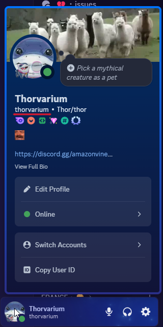 discord_name.png