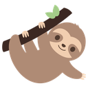 :sloth_hanging: